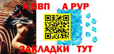 шишки Ставрополь