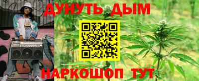 шишки Ставрополь
