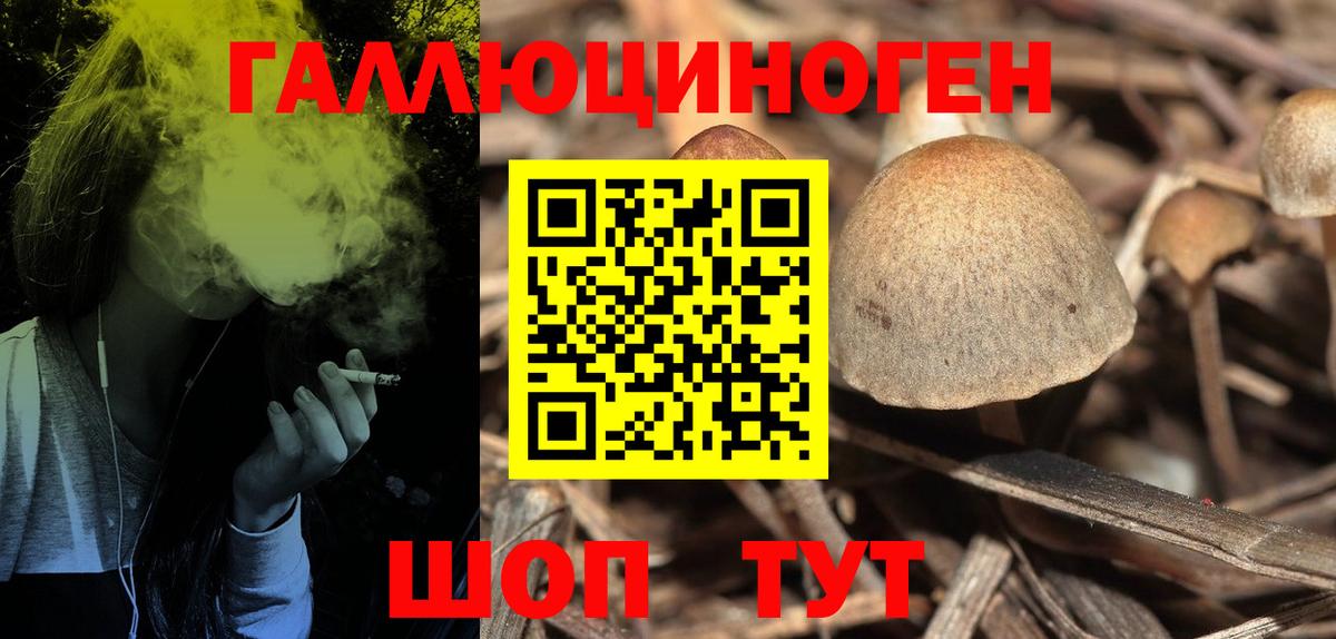 Орехово-Зуево  Галлюциногенные грибы Magic Shrooms  Вход с VPN 